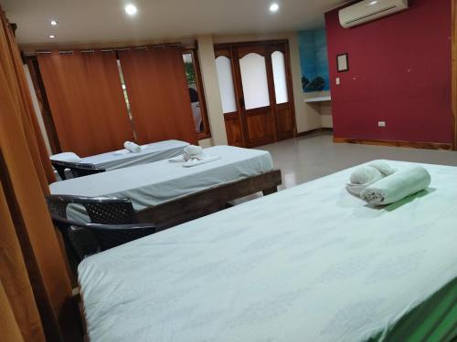 Una cama o camas en una habitación de Bioluminiscencia Hostel Tours - South