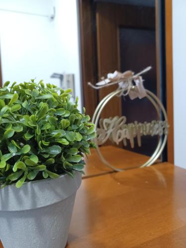 アヴィアーノにあるAviano Interno 3の鉢植え