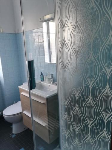 een badkamer met een douche, een toilet en een wastafel bij Nouelig bras in Loctudy