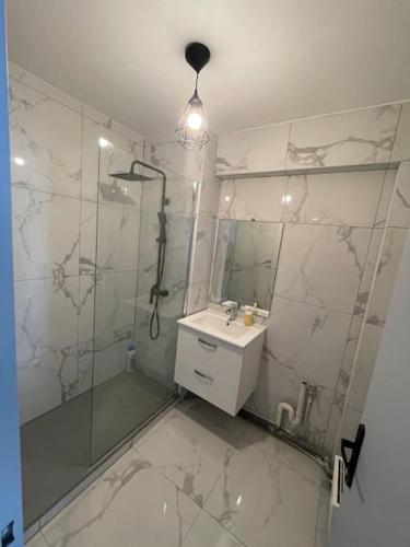 La salle de bains est pourvue d'une douche, d'un lavabo et d'un miroir. dans l'établissement Logement rénové gare St Charles, à Marseille