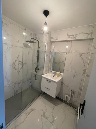 une salle de bain avec une douche, un lavabo et un miroir dans l'établissement Logement rénové gare St Charles, à Marseille