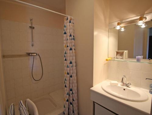 La salle de bains est pourvue d'un lavabo et d'une douche. dans l'établissement Le pompadour, à Limoges