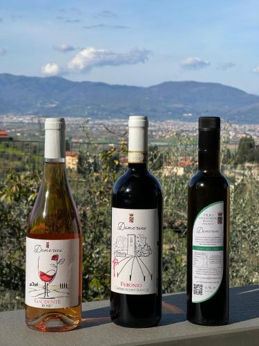 two bottles of wine sitting on a ledge at Agriturismo Sotto la Rocca in Carmignano