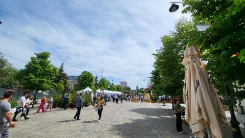 Khách lưu trú tại Sunny Studio Apartment