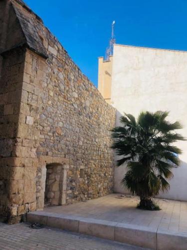 un palmier assis à côté d'un mur de briques dans l'établissement La Barbacane, à Lapalme