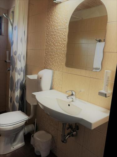 a bathroom with a sink and a toilet and a mirror at Pensiunea Ursul Carcotas in Fundata