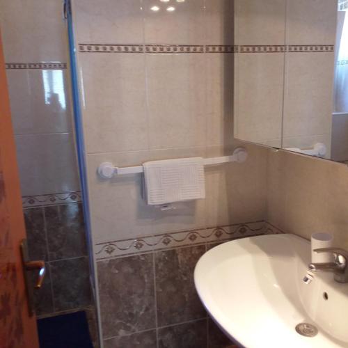 a bathroom with a sink and a shower at Apartman Premantura Rumora in Premantura