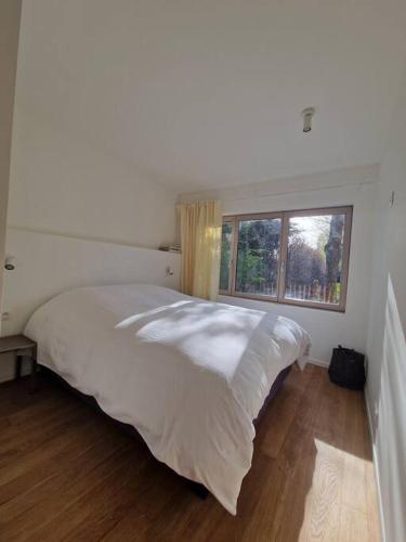 a white bed in a room with a window at Tiny house in Antwerp
