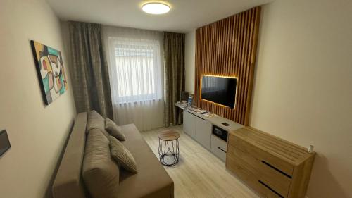 Apartmány U Zámečku في كيجوف: غرفة معيشة صغيرة مع أريكة وتلفزيون