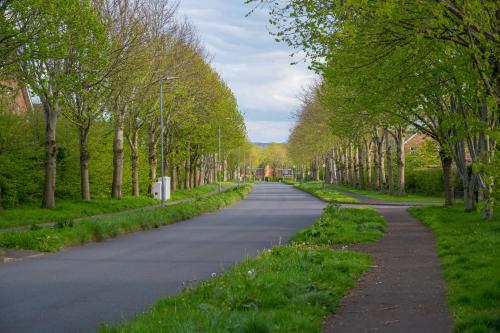 an empty road with trees on either side at Stylish & spacious 3 bedroom entire house in Lisburn with parking in Lisburn