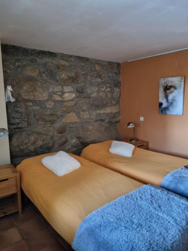 Planès的住宿－Orri de Planès，石墙客房的两张床
