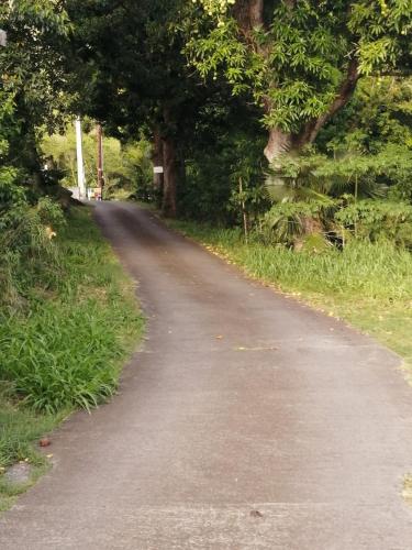 a dirt road with trees on the side of it at Villa des fleurs in Pointe-Noire