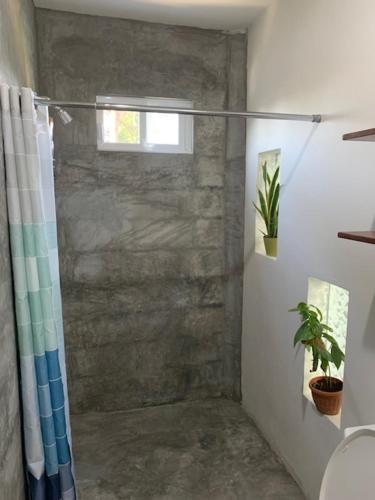 a bathroom with a shower curtain and a potted plant at Departamento cocoonning en "Casa Livia" piscina y jardín in Mérida