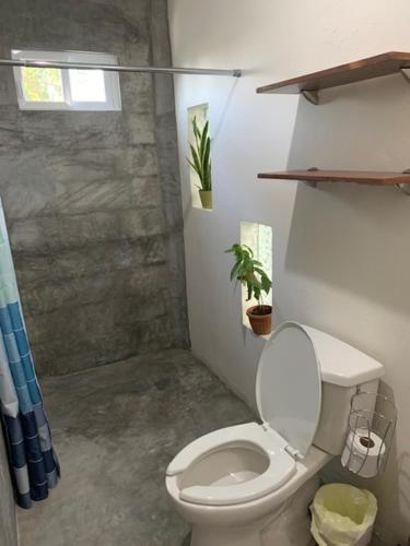 a bathroom with a toilet and a potted plant at Departamento cocoonning en "Casa Livia" piscina y jardín in Mérida