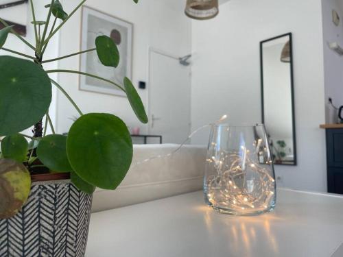 une table avec un vase et une plante sur elle dans l'établissement Le Monde d'Elodie - Rouen Gare routière, à Rouen