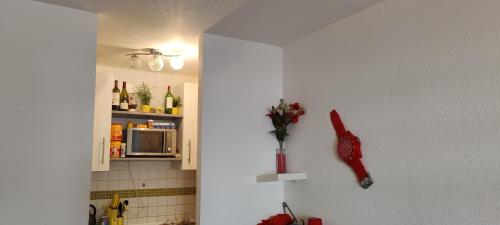 uma cozinha com uma parede com um vaso na parede em Gut & Günstig em Trier