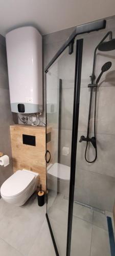 a bathroom with a toilet and a glass shower stall at Agro domki u Kasi in Kazimierz