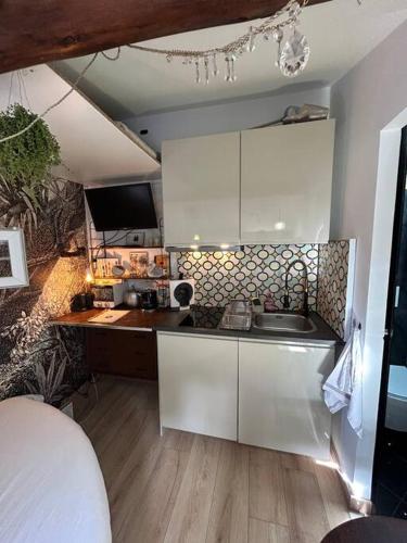- une cuisine avec des placards blancs et un lavabo dans la chambre dans l'établissement Jungle Spa, à Marseille