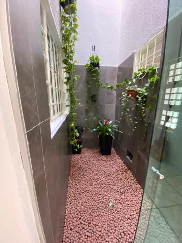 a hallway with plants and windows in a building at Hospedaria Flamboyant in Goiânia