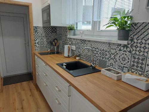 Kuchyň nebo kuchyňský kout v ubytování Apartmány Máchovo jezero