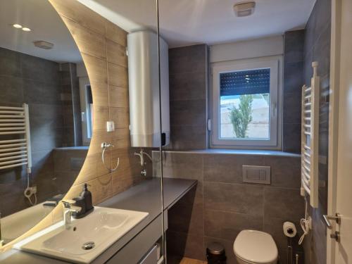 een badkamer met een wastafel, een toilet en een raam bij Vila Plamenac in Divčibare