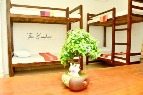 een speelgoedkonijn op een tafel in een kamer met stapelbedden bij The Bunker in Badulla