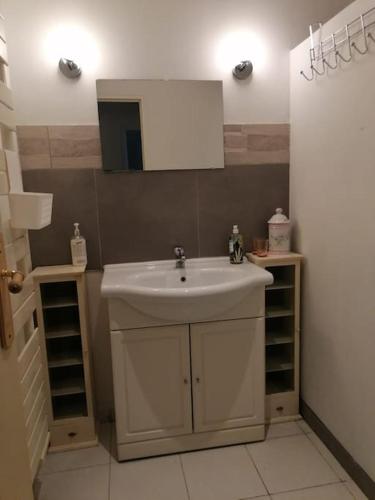 une salle de bain avec un lavabo et un miroir dans l'établissement Maison pittoresque avec jardinet, à Mauves-sur-Huisne