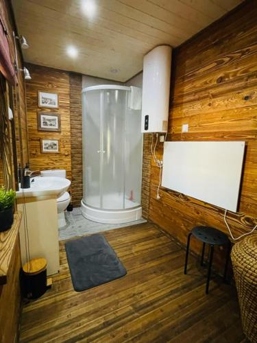 a bathroom with a shower and a sink and a toilet at Chatka Oli in Zubacze