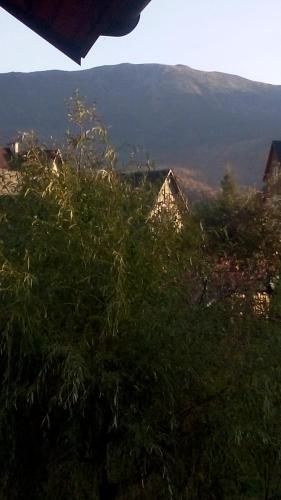 a view of a mountain with a house and trees at Chata Pod Kwiatkiem in Zawoja
