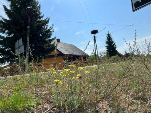 a house on a hill with a field of flowers at Chatka Oli in Zubacze