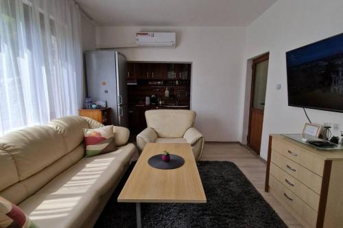 TV a/nebo společenská místnost v ubytování ViPo Vista Veliko Tarnovo