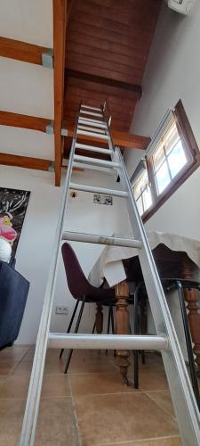 Photo de la galerie de l'établissement Guest House au milieu des palmiers, à Saint-Martin-de-Seignanx