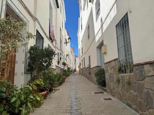 an alley in an old town with plants at Checkmate in Tolox