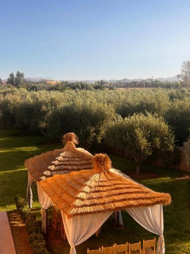 a large straw umbrella in a field with trees at Villa Dar Hadjar in Marrakesh