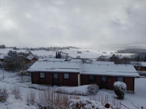 a house covered in snow with a field in the background at Villa Leni im Schwarzwald in Bad Dürrheim