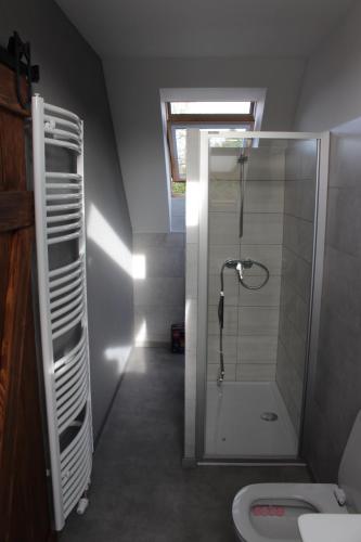 a bathroom with a shower and a sink at Apartmán Špejchar Starý Plzenec in Starý Plzenec