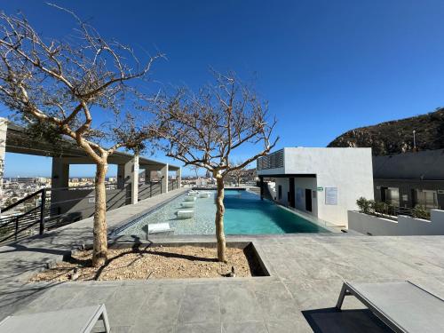 a house with a swimming pool and two trees at Live! Departamento céntrico con asombroso Rooftop y Alberca in Cabo San Lucas