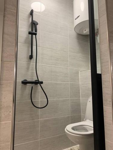 un bagno con doccia e WC di Charming Studio Eiffel Tower a Parigi