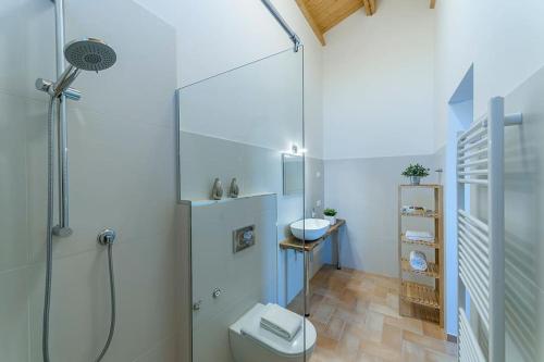 a bathroom with a shower and a toilet and a sink at Due splendide e luminose ville recentemente ristrutturate! in SantʼAngelo in Pontano