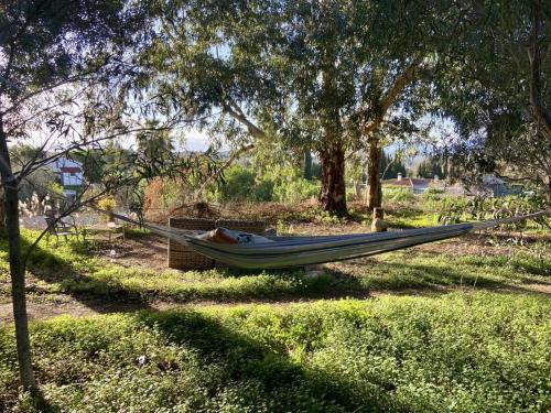 Κήπος έξω από το Finca Fahala