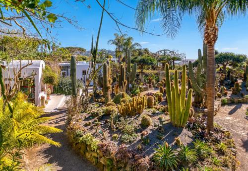 a garden with cactuses and palm trees at Villa Ravino Aparthotel in Ischia