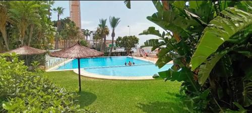 APARTAMENTO SúITE ACAPULCO FIRST LINE BENIDORM BEACH