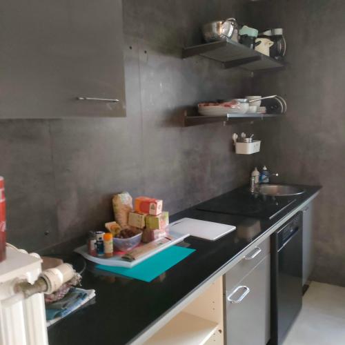eine Küche mit einem Waschbecken und einer schwarzen Arbeitsplatte in der Unterkunft 201Hervale in Straßburg
