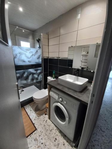 une salle de bain avec un lavabo et une machine à laver dans l'établissement Les Mouettes n°3, à Savines