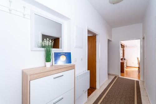 Apartment Srecko
