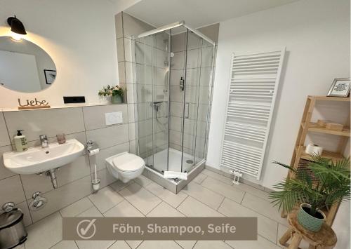 a bathroom with a shower and a toilet and a sink at Buddha Apartment in Koblenz
