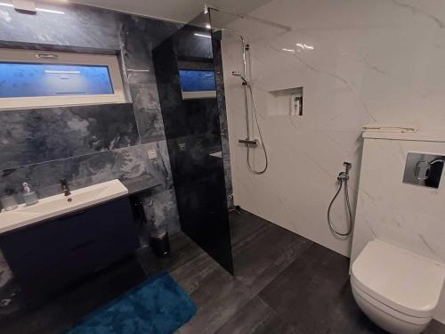 a bathroom with a toilet and a sink and a shower at Pärnu Posti Apartment in Pärnu