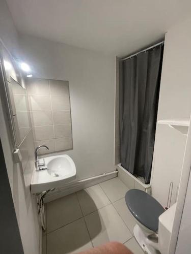 une petite salle de bain avec toilettes et lavabo dans l'établissement Apt 6 personnes plus 2 enfants 200m de la plage ,Draps et serviettes non fournies, au Cap d'Agde