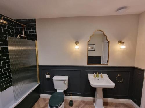 a bathroom with a toilet and a sink and a mirror at Morlun, Trearddur Bay, Isle of Anglesey in Trearddur