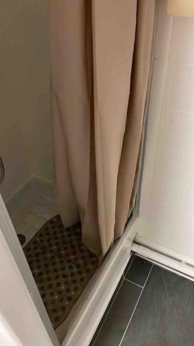 une douche avec un rideau de douche dans une salle de bain dans l'établissement Charmant studio aux portes de Paris, à Saint-Ouen